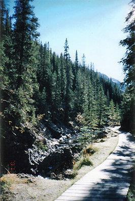 White Wolf 2* Hinton